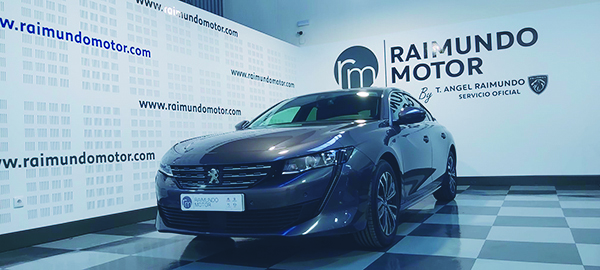 Raimundo Motor Coches123