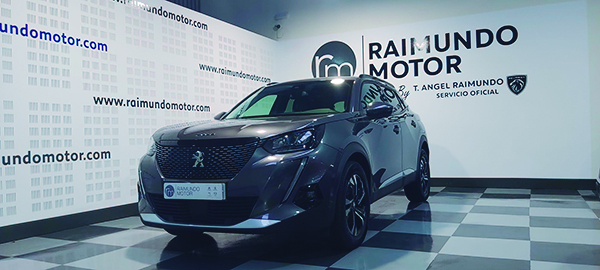 Raimundo Motor Coches123