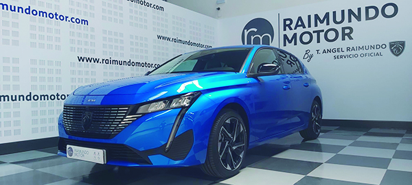 Raimundo Motor Coches123