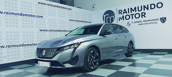 Raimundo Motor Coches123