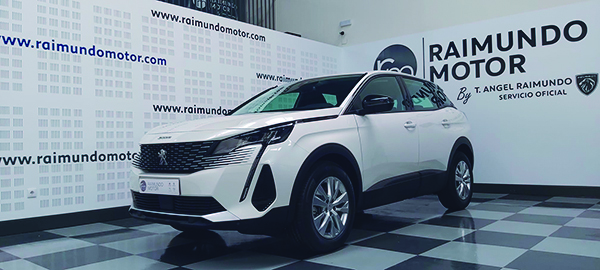 Raimundo Motor Coches123