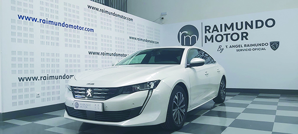 Raimundo Motor Coches123