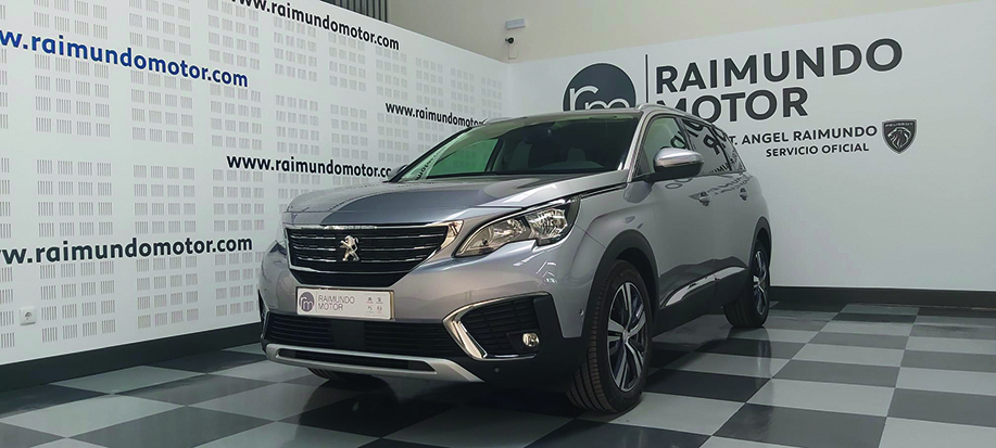 Raimundo Motor Coches123