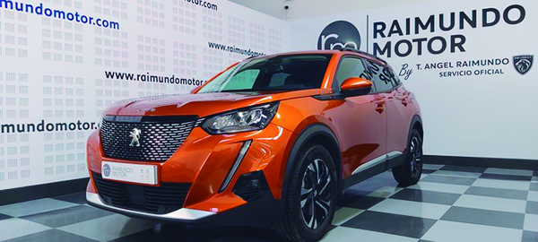 Raimundo Motor Coches123