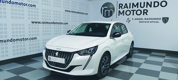 Raimundo Motor Coches123
